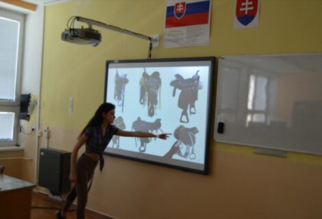 Prezentačné zručnosti