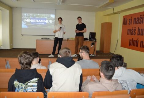 Minierasmus